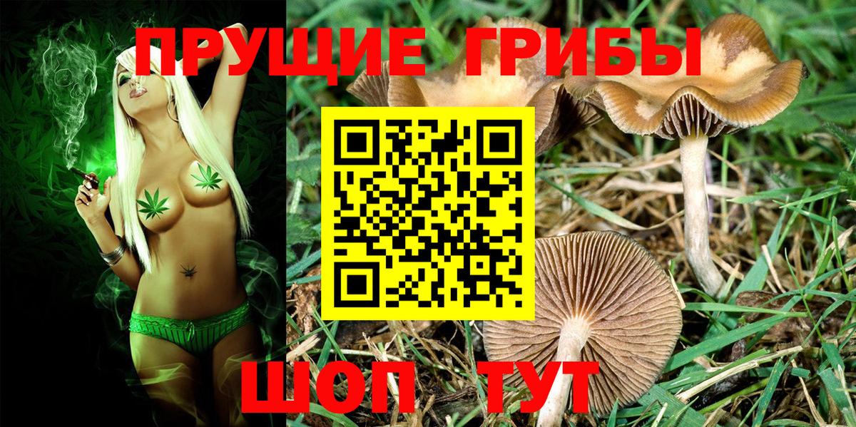 Галлюциногенные грибы мицелий Феодосия